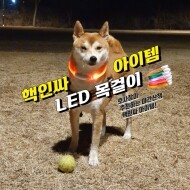 [키미랑] 강아지 LED목걸이