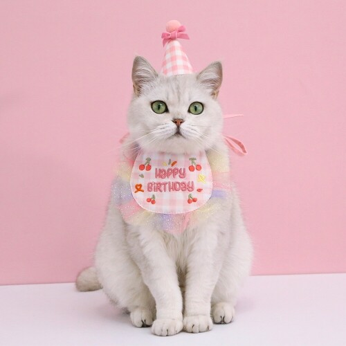 펫도매,[매장] 도그웨그 생일 꼬깔 모자 케이프 세트 강아지 고양이 생일파티 악세사리