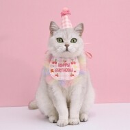 [매장] 도그웨그 생일 꼬깔 모자 케이프 세트 강아지 고양이 생일파티 악세사리