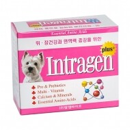 인트라젠 플러스 30개입 강아지 고양이 유산균