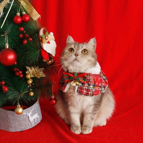 펫도매,[매장] 도그웨그 징글벨 망토 강아지 케이프 고양이 크리스마스 스카프