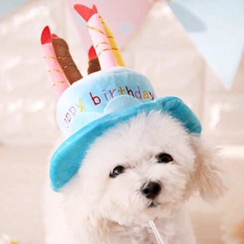 펫도매,[매장] 도그웨그 생일 케이크 모자 강아지 고양이 파티 용품