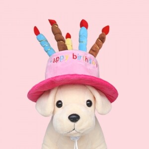 [매장] 도그웨그 생일 케이크 모자 강아지 고양이 파티 용품
