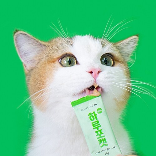 펫도매,【매장】[리스펫랩] 고양이 헤어볼 구토 영양제 하루포캣 장건강 30개입