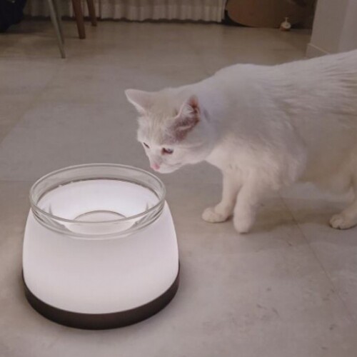 펫도매,[까사미코] 블링블링 LED 무선 고양이 강아지 식기세트