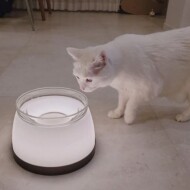 [까사미코] 블링블링 LED 무선 고양이 강아지 식기세트