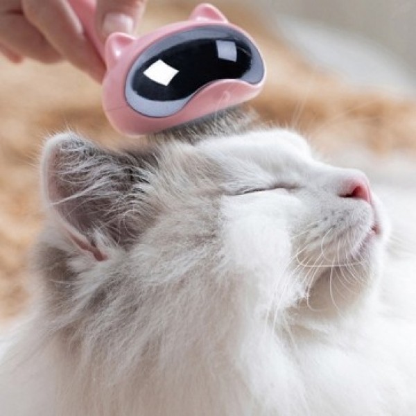 펫도매,[티티펫] pb+ 우주캣냥 고양이 브러쉬 (핑크)