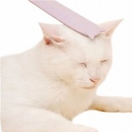 [티티펫] 고양이 힐링 그루밍 브러쉬 (핑크)