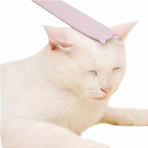 펫도매,[티티펫] 고양이 힐링 그루밍 브러쉬 (핑크)