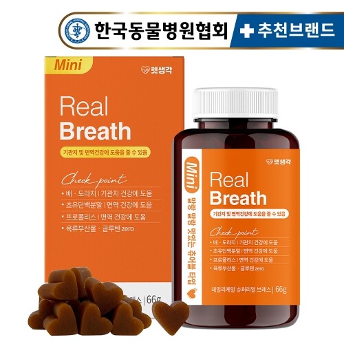 펫도매,[매장][펫생각]강아지 기관지 영양제 66g 31정 (1개월분)