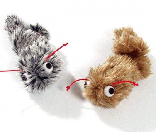 펫도매,[칼리] 빌리 고양이 반려묘 장난감