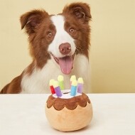 [매장] 케이크 삑삑이 강아지 장난감