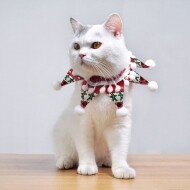 [매장] 스타폼폼 목걸이 강아지 악세사리 고양이 스카프