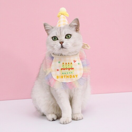 펫도매,[매장] 도그웨그 생일 꼬깔 모자 케이프 세트 강아지 고양이 생일파티 악세사리