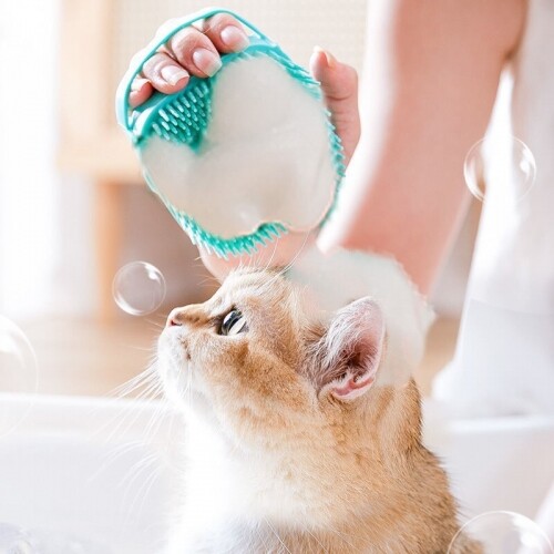 펫도매,강아지 고양이 샴푸 브러쉬 목욕 마사지 목욕솔