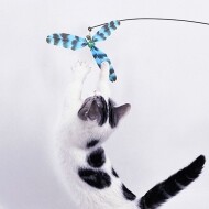 고양이 낚시대 360도 회전 깃털 카샤카샤 사냥