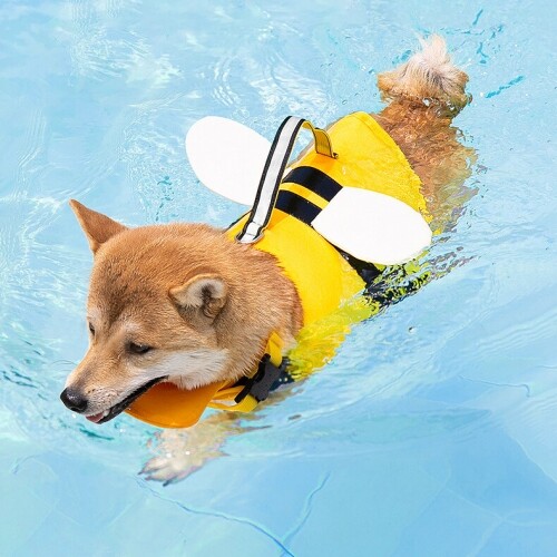 펫도매,강아지 꿀벌 구명조끼 여름 수영복 물놀이