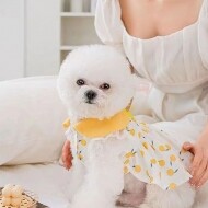 강아지 레몬 원피스 카라 스커트 여름 옷