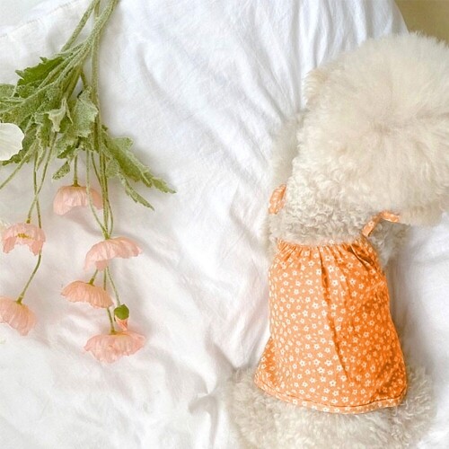 펫도매,강아지 옷 원피스 드레스 나시 리본 꽃무늬