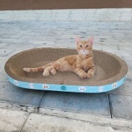 [펫츠몬]고양이 눕기편한 특대형 B골 스크래쳐 타원형65cm MAX(인터넷 13500원미만 판매금지)