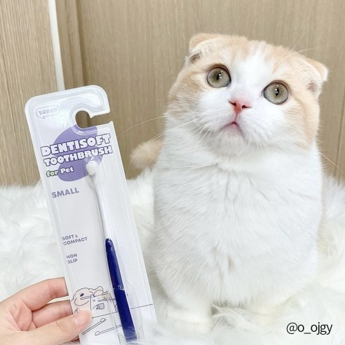 펫도매,[매장] 정글몬스터 덴티소프트 강아지 고양이 칫솔 Small