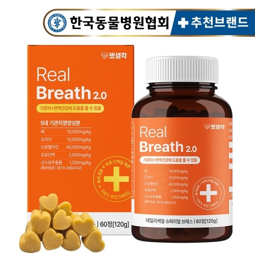 [펫생각] 2개월분 강아지 기관지 영양제 데일리케얼 리얼 배도라지 기침 협착증 120g