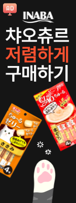 8월_이나바
