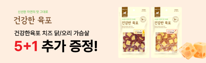 건강한육포