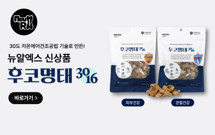뉴알엑스
