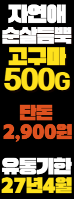 12월_자연애