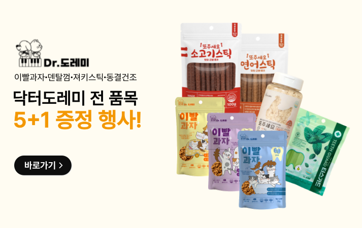2_닥터도레미