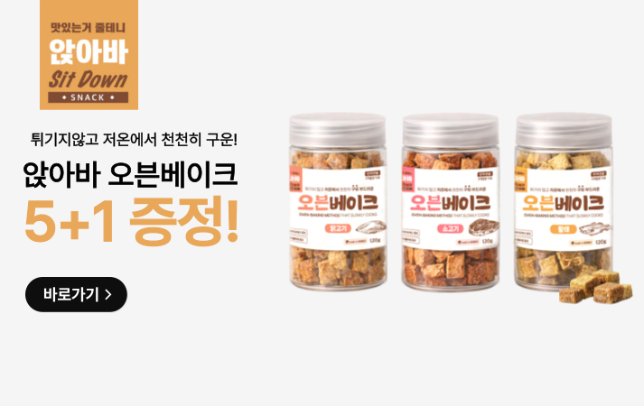 앉아바