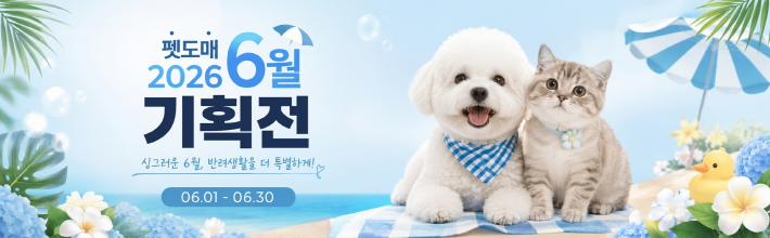 6월 _기획전