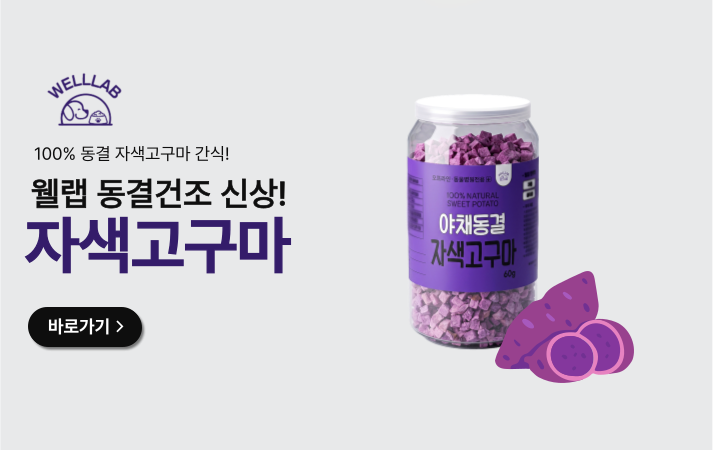 웰랩
