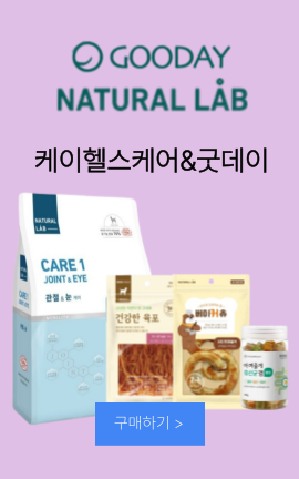 8_케이헬스케어