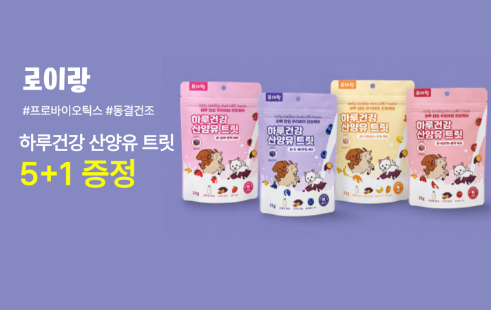 로이랑