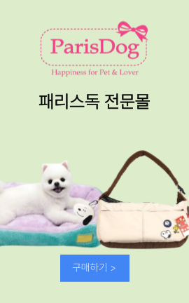 8_패리스독