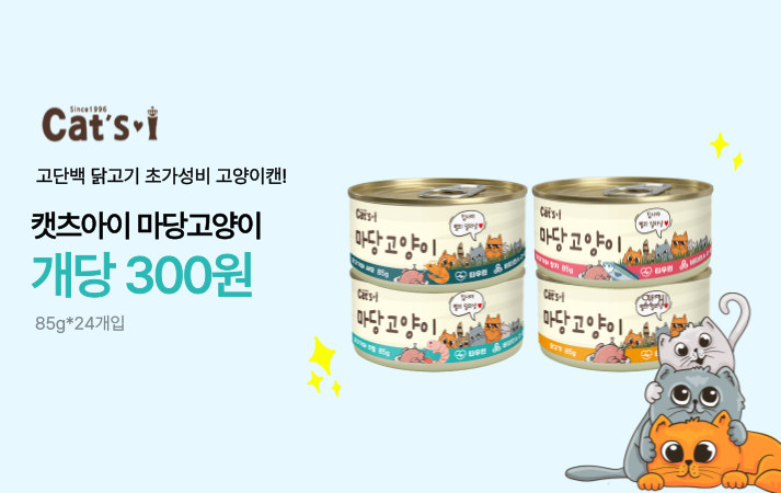 캣츠아이