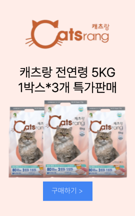 8_캐츠랑