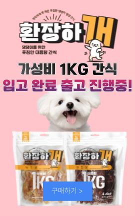 8_환장하개
