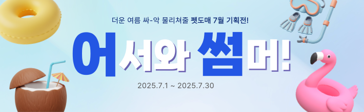 6월 기획전