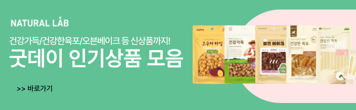 굿데이