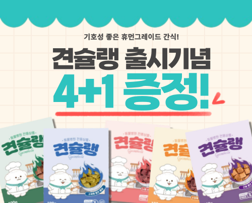 [견슐랭] 출시기념 4+1 증정 이벤트!