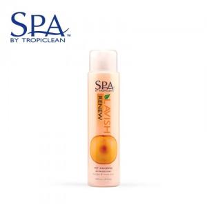 스파리뉴샴푸(모질복원) 16oz (약 473ml)