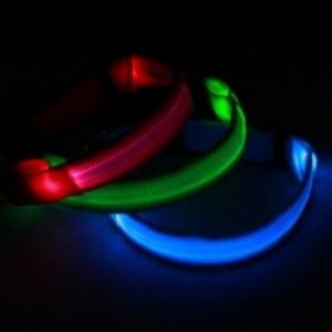 [하이D&C] LED 목줄 (블루/M)