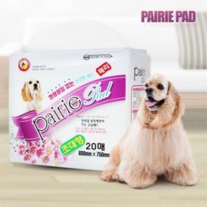[페리] 패드 (20매)