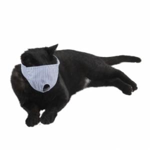 [힐링타임/NH-3131] 고양이 눈가리개 (블루/S)