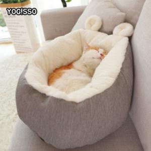 [요기쏘] 곰돌이 마약방석