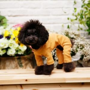 【매장】[펫디자인/A194] 스포츠 올인원 (Mustard)