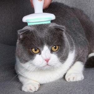 [티티펫] 고양이 다용도 털관리 브러쉬 (민트)